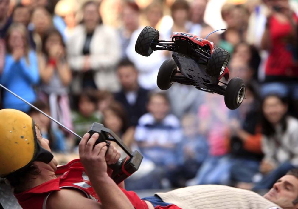 Ernest The Magnifico gallery image