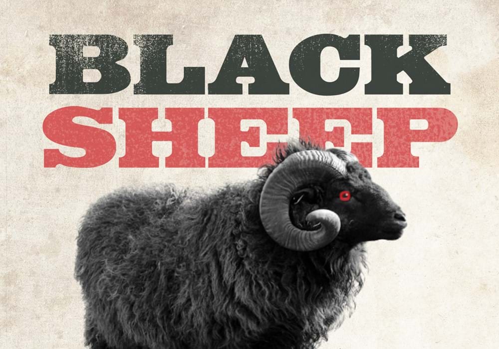 RNZ Black Sheep Live Show gallery image