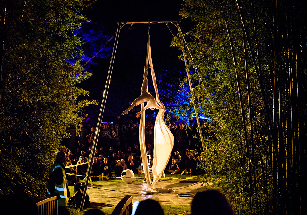 Dream Garden  gallery image