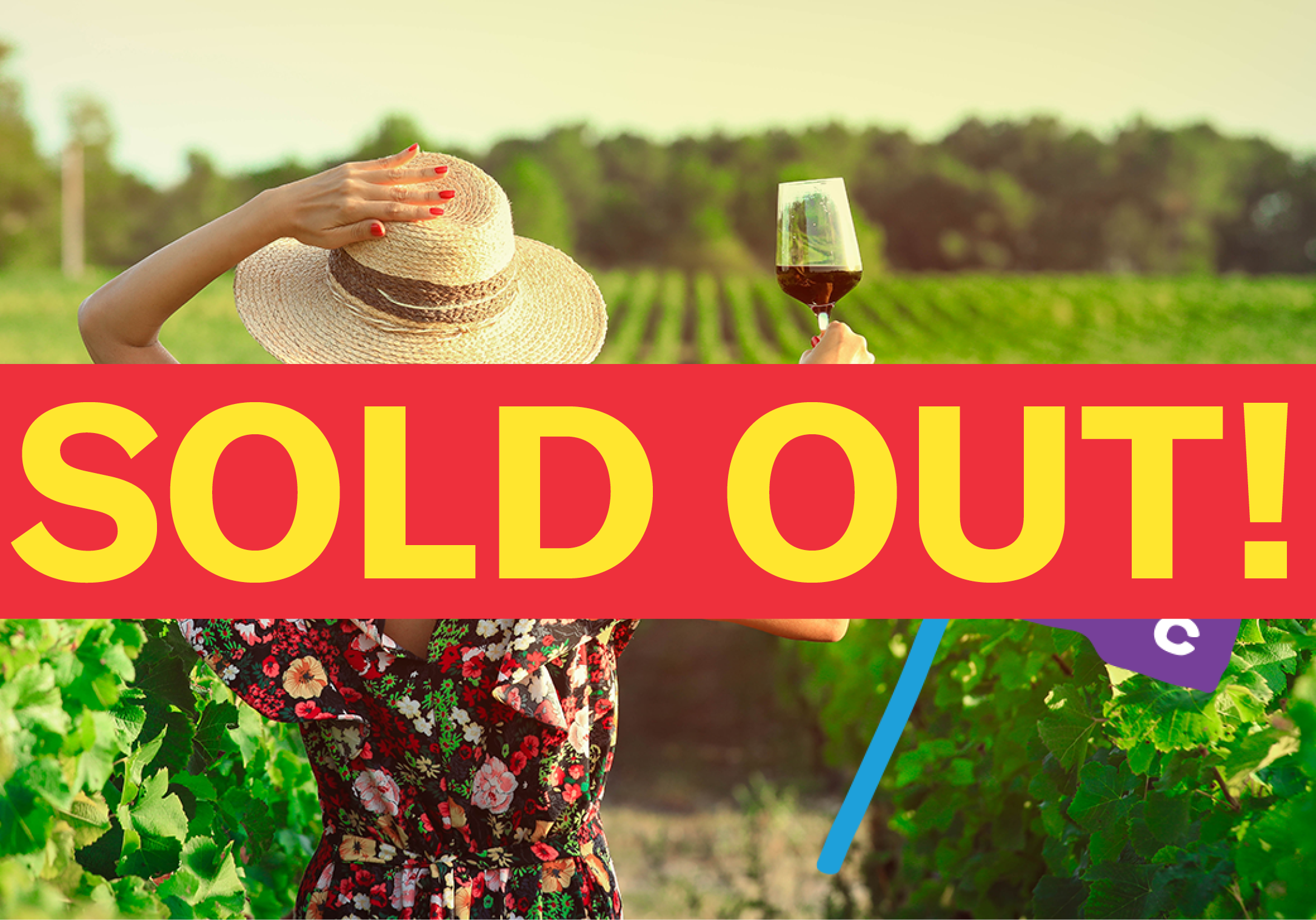 The Bread & Circus Winery Tour: Escape to Christchurch’s top vineyards: be wined, dined and entertained!  gallery image