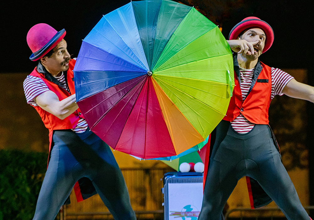 The Twins’ Trip: Same Same But Different gallery image